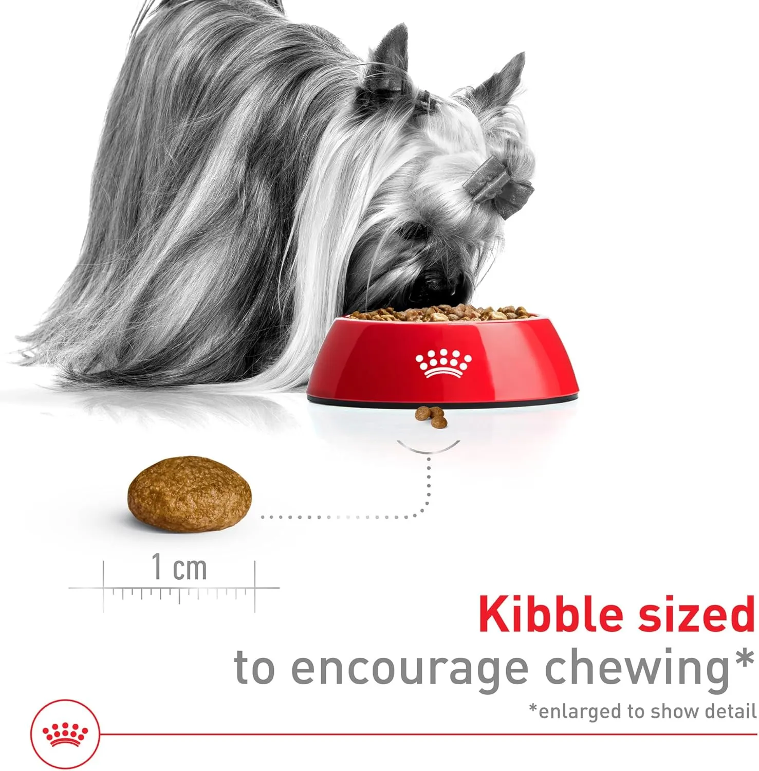 Royal Canin Size Health Nutrition X-Small Adult Dry Dog Food, 14 lb bag