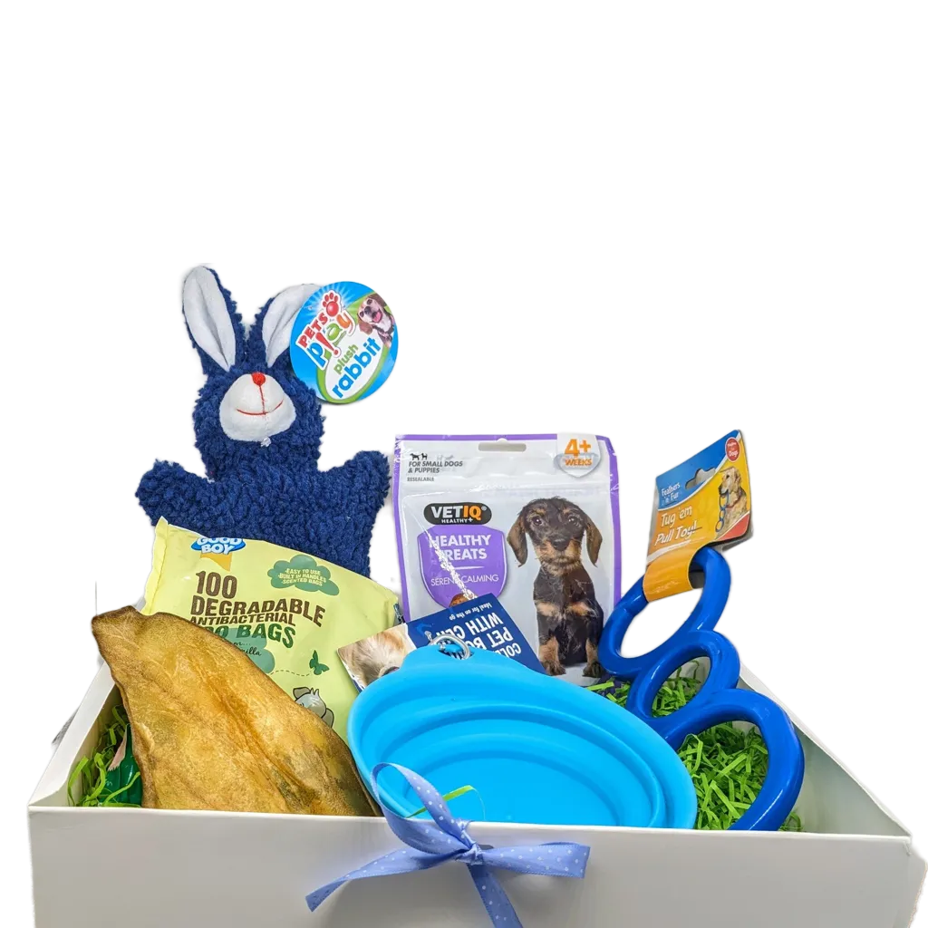 Small to medium dog bundle