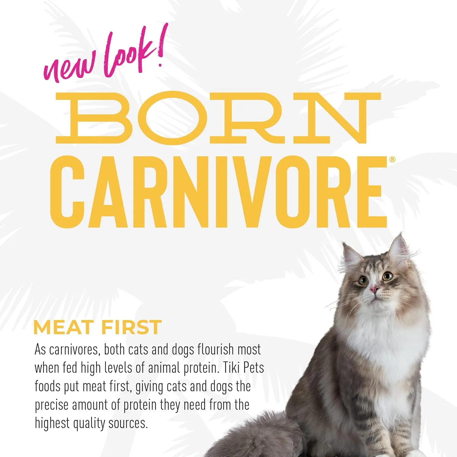 Tiki Cat Born Carnivore Indoor Health Dry Cat Food, Chicken & Turkey Meal, 6 lbs. Bag