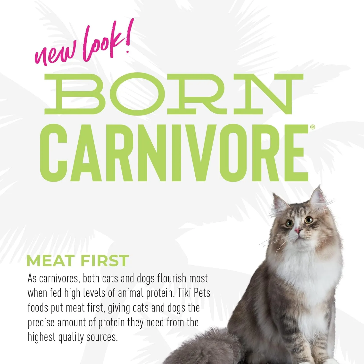Tiki Cat Born Carnivore Indoor Health Dry Cat Food, Trout & Menhaden Fish Meal, 3 lbs. Bag